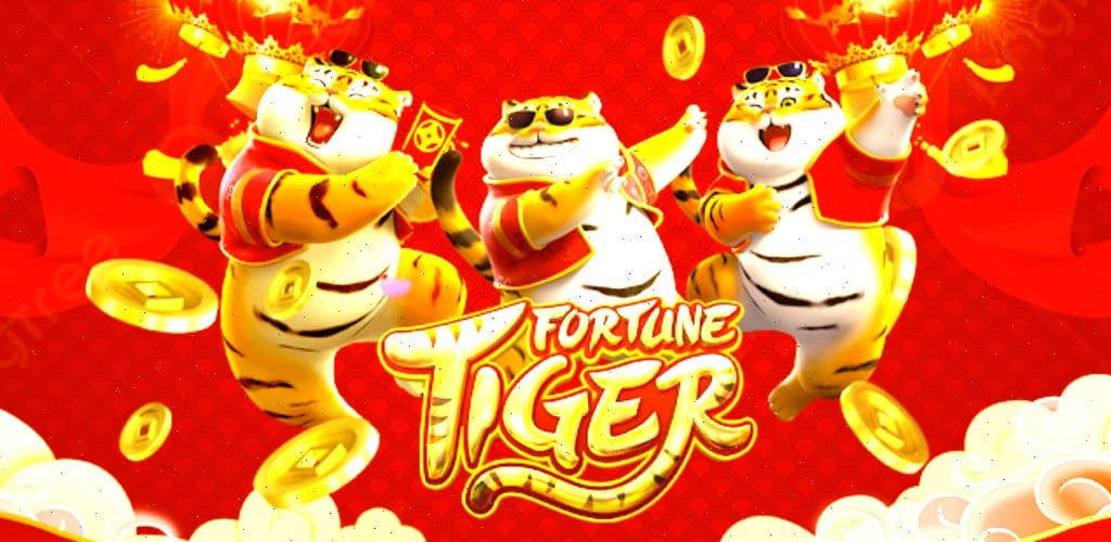 Mobile-friendly cricket entertainment interface for Bangladesh users